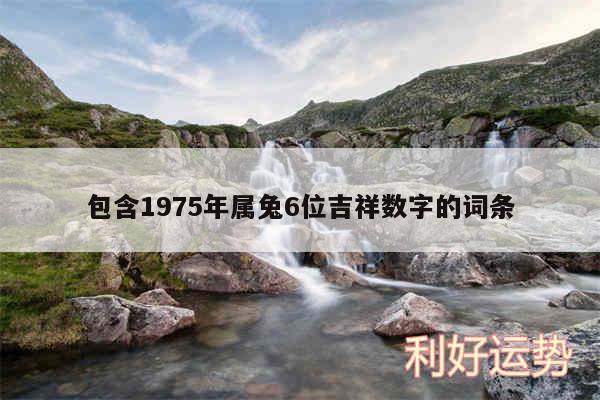 包含1975年属兔6位吉祥数字的词条