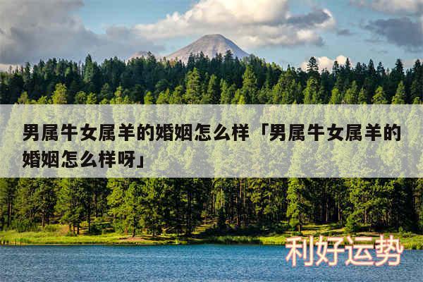男属牛女属羊的婚姻怎么样及男属牛女属羊的婚姻怎么样呀