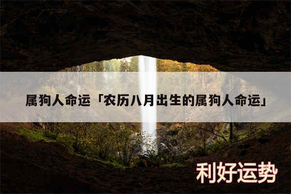 属狗人命运及农历八月出生的属狗人命运