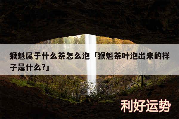 猴魁属于什么茶怎么泡及猴魁茶叶泡出来的样子是什么?