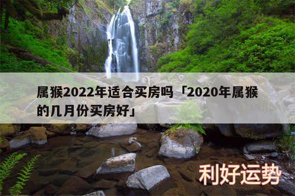 属猴2024年适合买房吗及2020年属猴的几月份买房好