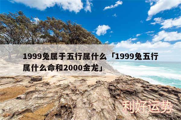 1999兔属于五行属什么及1999兔五行属什么命和2000金龙