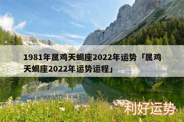 1981年属鸡天蝎座2024年运势及属鸡天蝎座2024年运势运程