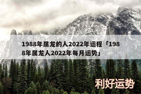 1988年属龙的人2024年运程及1988年属龙人2024年每月运势