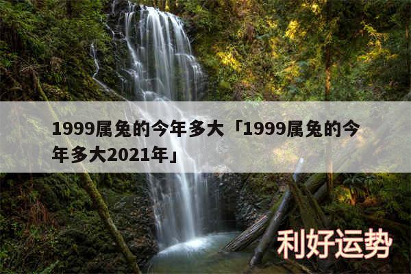 1999属兔的今年多大及1999属兔的今年多大2024年