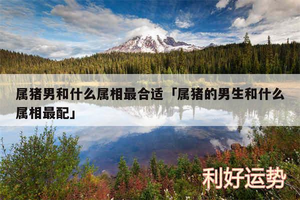 属猪男和什么属相最合适及属猪的男生和什么属相最配