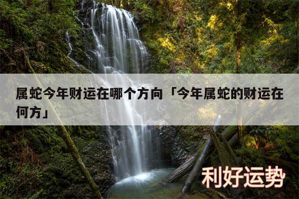 属蛇今年财运在哪个方向及今年属蛇的财运在何方