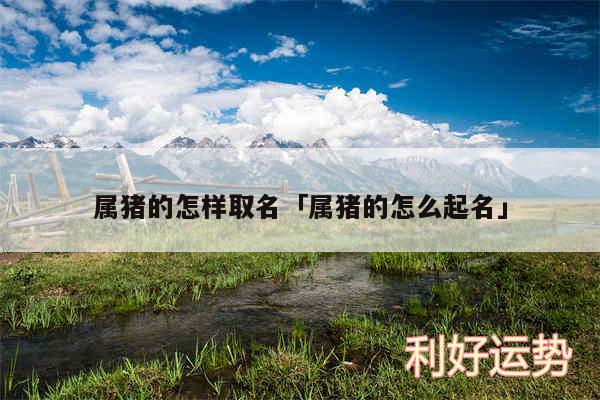 属猪的怎样取名及属猪的怎么起名