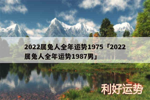 2024属兔人全年运势1975及2024属兔人全年运势1987男