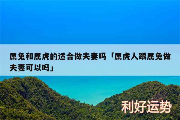 属兔和属虎的适合做夫妻吗及属虎人跟属兔做夫妻可以吗