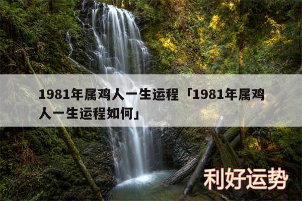 1981年属鸡人一生运程及1981年属鸡人一生运程如何