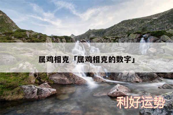 属鸡相克及属鸡相克的数字