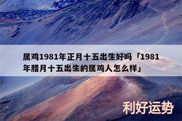 属鸡1981年正月十五出生好吗及1981年腊月十五出生的属鸡人怎么样