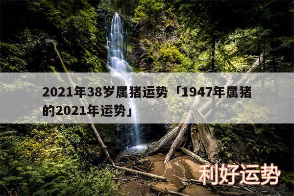 2024年38岁属猪运势及1947年属猪的2024年运势