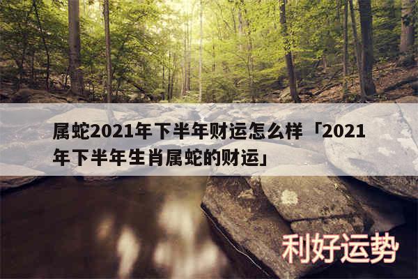 属蛇2024年下半年财运怎么样及2024年下半年生肖属蛇的财运