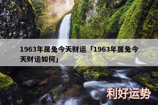 1963年属兔今天财运及1963年属兔今天财运如何