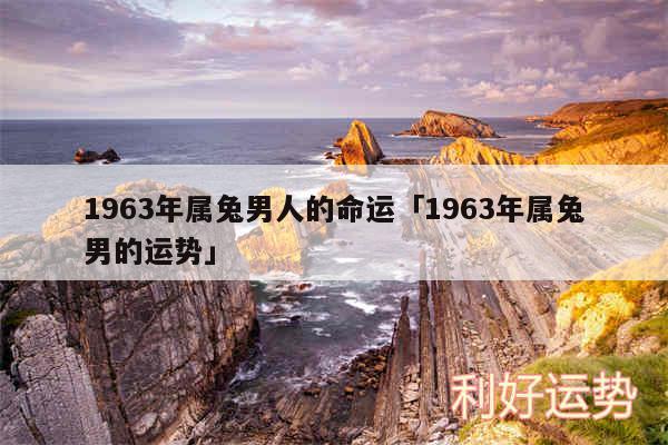 1963年属兔男人的命运及1963年属兔男的运势