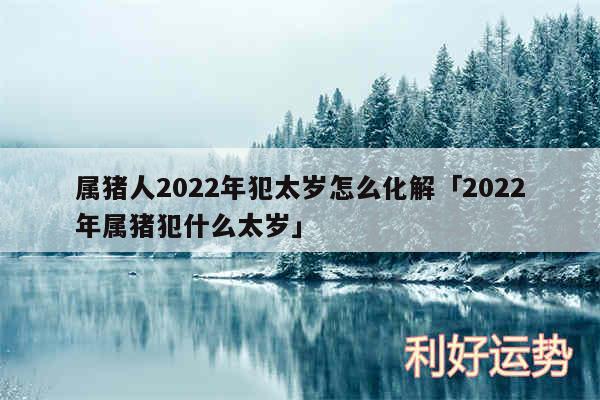 属猪人2024年犯太岁怎么化解及2024年属猪犯什么太岁