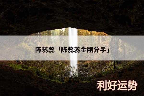 陈蕊蕊及陈蕊蕊金刚分手
