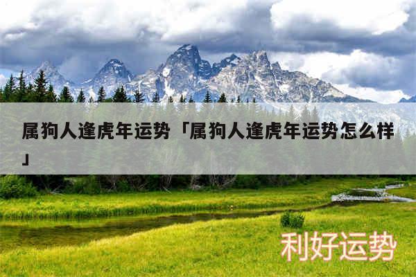 属狗人逢虎年运势及属狗人逢虎年运势怎么样