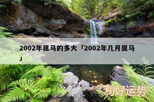 2002年属马的多大及2002年几月属马