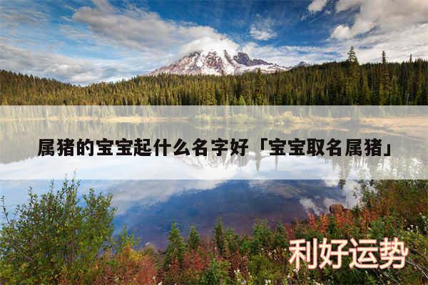 属猪的宝宝起什么名字好及宝宝取名属猪