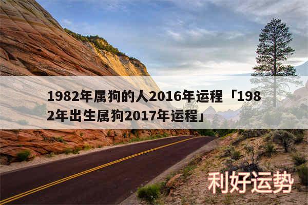 1982年属狗的人2016年运程及1982年出生属狗2017年运程