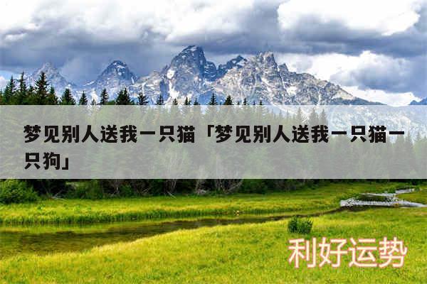 梦见别人送我一只猫及梦见别人送我一只猫一只狗