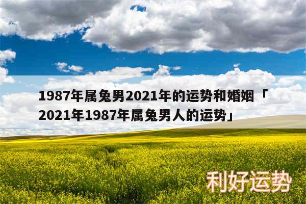 1987年属兔男2024年的运势和婚姻及2024年1987年属兔男人的运势