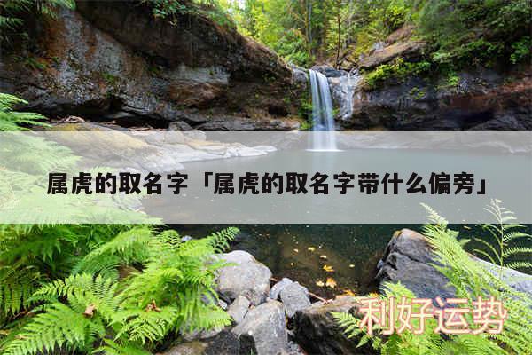 属虎的取名字及属虎的取名字带什么偏旁