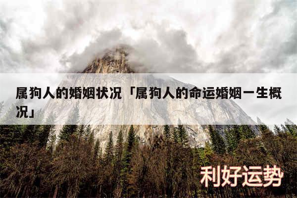 属狗人的婚姻状况及属狗人的命运婚姻一生概况