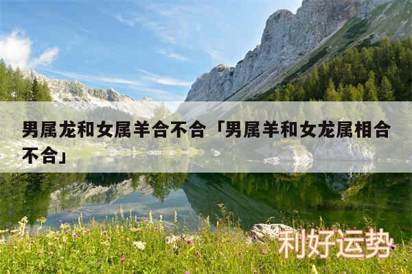男属龙和女属羊合不合及男属羊和女龙属相合不合