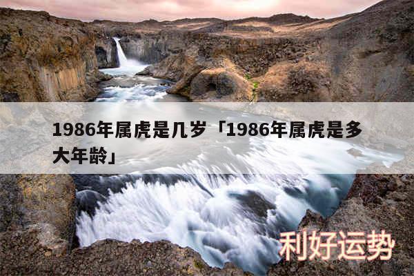 1986年属虎是几岁及1986年属虎是多大年龄