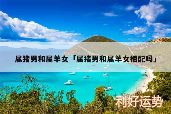 属猪男和属羊女及属猪男和属羊女相配吗