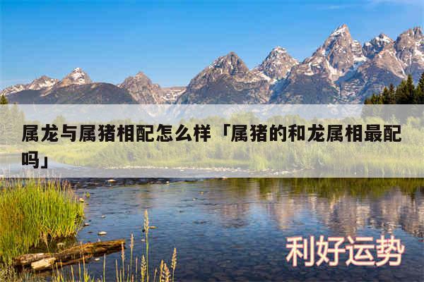 属龙与属猪相配怎么样及属猪的和龙属相最配吗