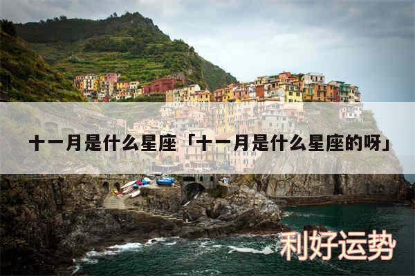 十一月是什么星座及十一月是什么星座的呀