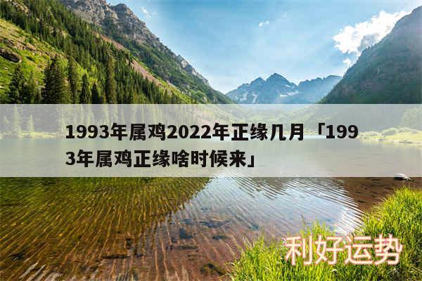 1993年属鸡2024年正缘几月及1993年属鸡正缘啥时候来