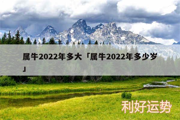 属牛2024年多大及属牛2024年多少岁
