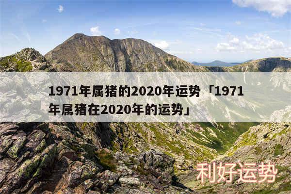 1971年属猪的2020年运势及1971年属猪在2020年的运势