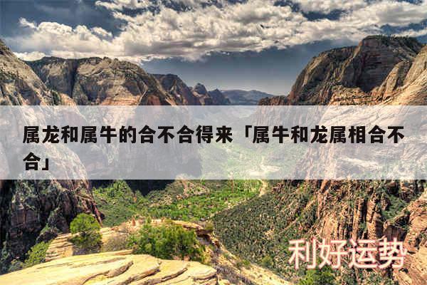 属龙和属牛的合不合得来及属牛和龙属相合不合