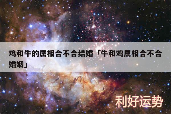鸡和牛的属相合不合结婚及牛和鸡属相合不合婚姻