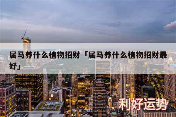 属马养什么植物招财及属马养什么植物招财最好
