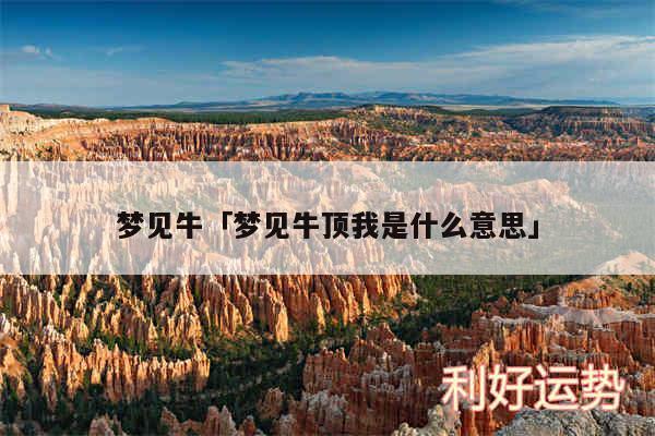 梦见牛及梦见牛顶我是什么意思