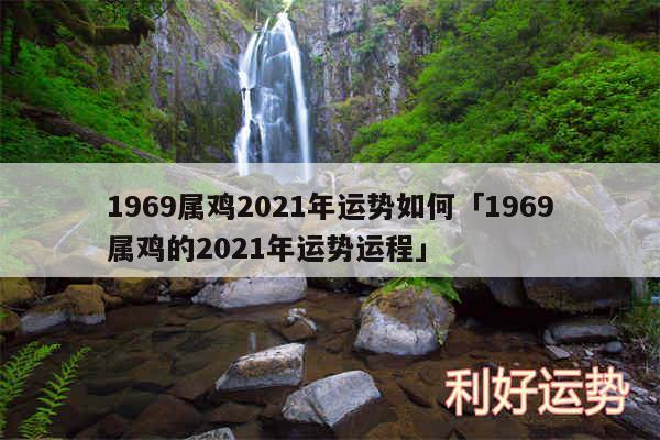 1969属鸡2024年运势如何及1969属鸡的2024年运势运程