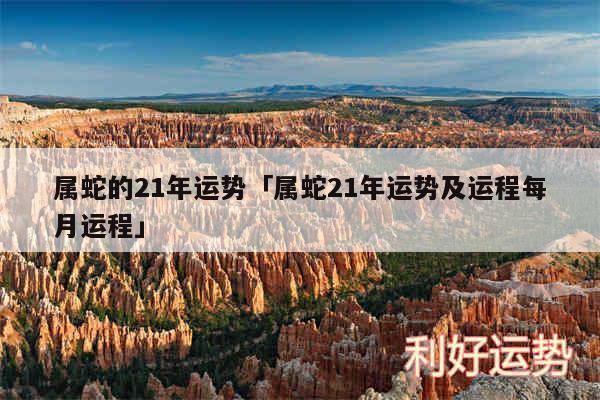属蛇的21年运势及属蛇21年运势及运程每月运程