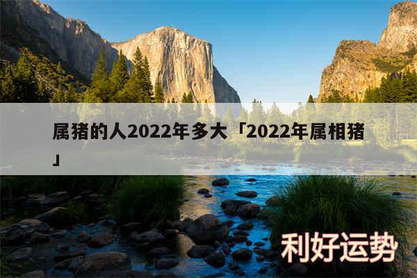 属猪的人2024年多大及2024年属相猪