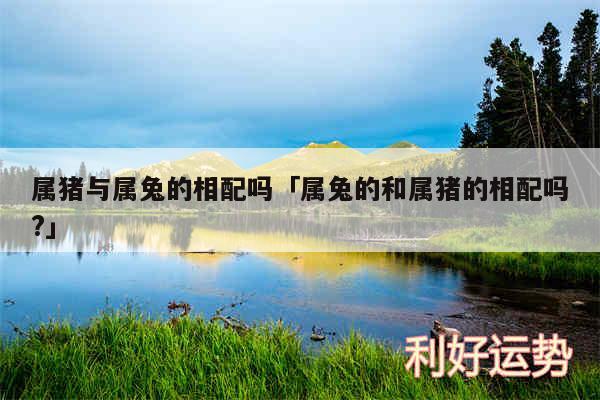 属猪与属兔的相配吗及属兔的和属猪的相配吗?