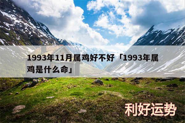 1993年11月属鸡好不好及1993年属鸡是什么命