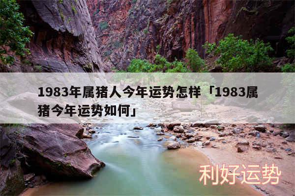 1983年属猪人今年运势怎样及1983属猪今年运势如何