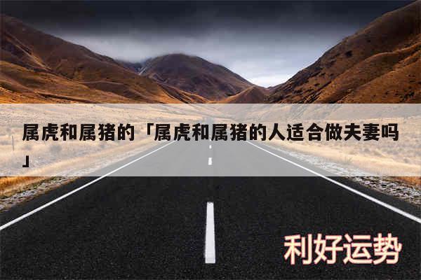 属虎和属猪的及属虎和属猪的人适合做夫妻吗